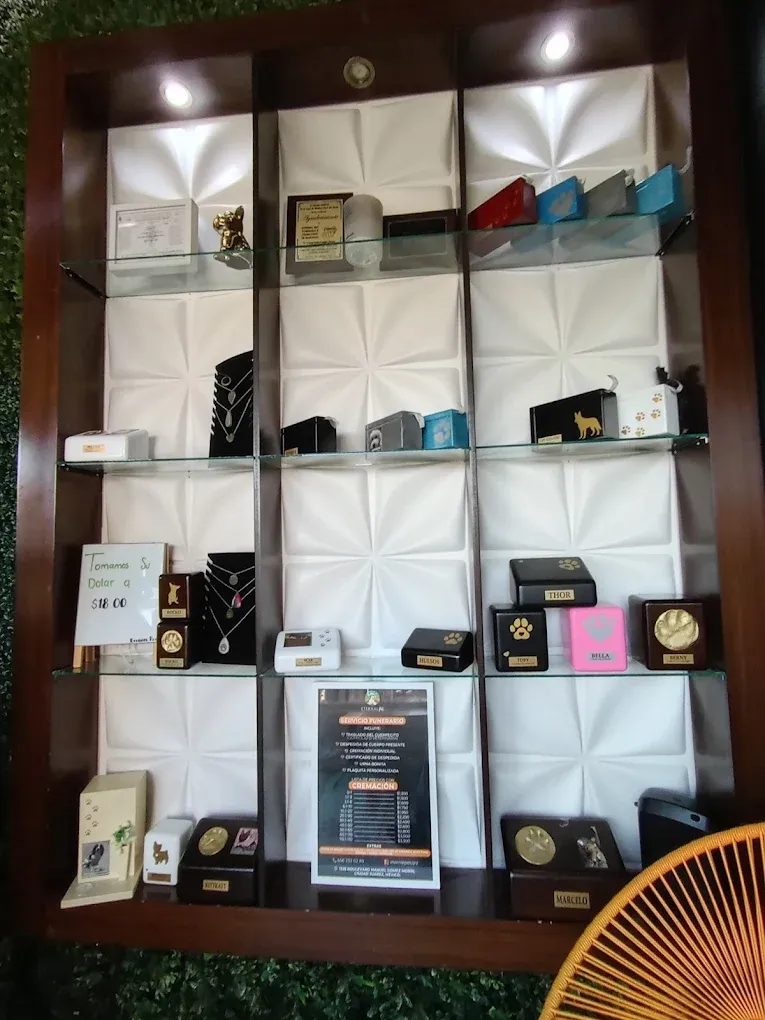 Interior de Eternal Pet — área de recepción